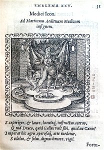 Medici Icon (BM 1972,U.11.25)