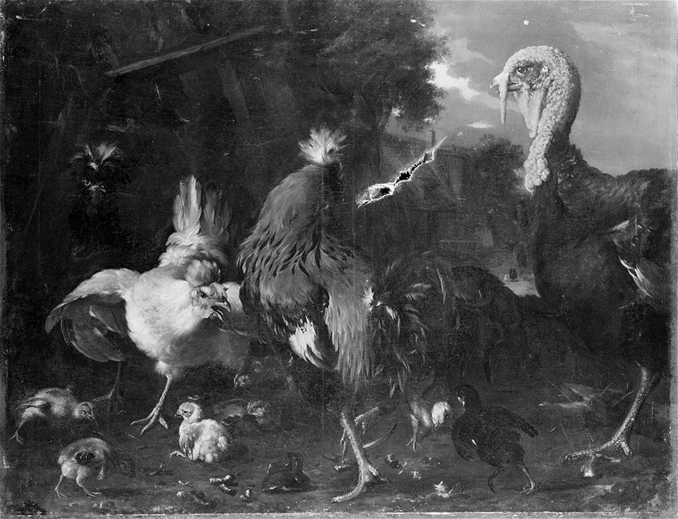Melchior d' Hondecoeter (Kopie nach) - Geflügelhof - 13014 - Bavarian State Painting Collections