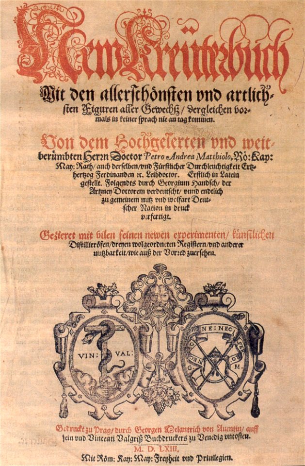 Melantrich34
