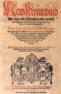 Melantrich34