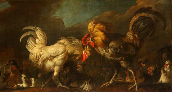 Melchior de Hondecoeter (1636-1695) (style of) - Two Cocks Fighting - 609075 - National Trust. Free illustration for personal and commercial use.