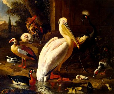Melchior d'Hondecoeter - Birds in a Park - WGA11639. Free illustration for personal and commercial use.