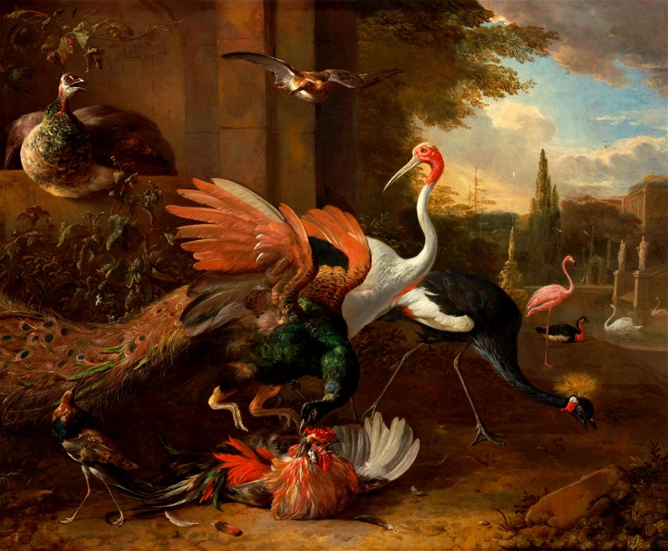 Melchior d'Hondecoeter - A Peacock Attacking a Rooster 73. Free illustration for personal and commercial use.