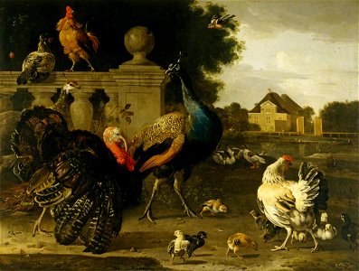 Melchior de Hondecoeter (1636-1695) - A Turkey Cock and Other Birds in a Garden - 446719 - National Trust. Free illustration for personal and commercial use.