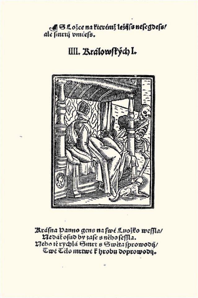 Melantrich10