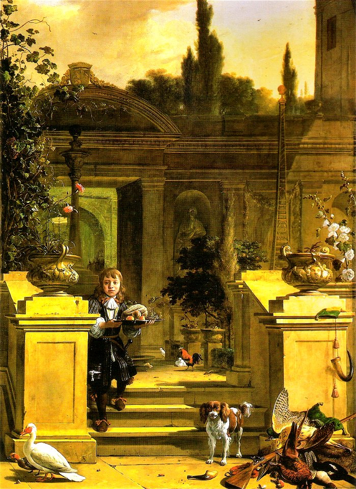 Belton M dHondecoeter