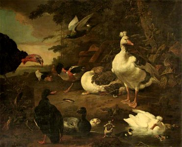 Melchior de Hondecoeter (1636-1695) - Turkey, Geese, a Shelduck, and Other Fowl, in a Landscape with a Stream - 453731 - National Trust. Free illustration for personal and commercial use.