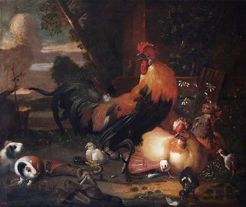 Melchior de Hondecoeter (1636-1695) (style of) - Poultry and Guinea Pigs - 355582 - National Trust. Free illustration for personal and commercial use.