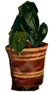 Edvard Munch - Potted Plant