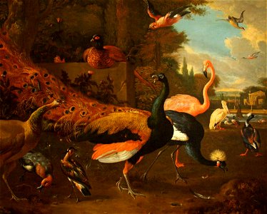 Melchior de Hondecoeter (1636-1695) - A Peacock and a Peahen with a Crane, a Flamingo, a Pelican, and Other Fowl, in a Park - 453774 - National Trust
