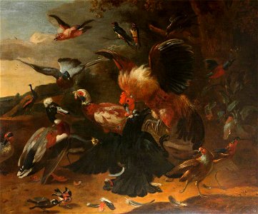 Melchior de Hondecoeter (1636-1695) (style of) - A Crow Assaulted by Farmyard Fowl - 814193 - National Trust. Free illustration for personal and commercial use.