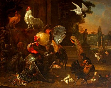 Melchior de Hondecoeter (1636-1695) - A Cock and Turkey Fighting, in a Park Setting, with Other Fowl - 453773 - National Trust. Free illustration for personal and commercial use.