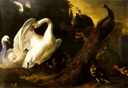 Melchior Hondecoeter - Cisnes e Pavões. Free illustration for personal and commercial use.