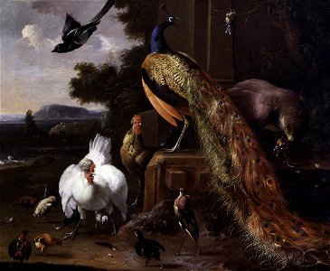 Melchior de Hondecoeter (1636-1695) - Peacocks and Farmyard Fowls with a Magpie in a Landscape - 414231 - National Trust. Free illustration for personal and commercial use.