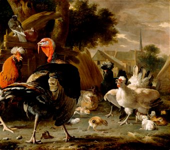 Melchior de Hondecoeter - Poultry Yard - 45.16 - Detroit Institute of Arts