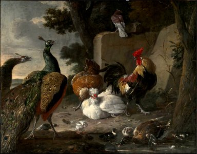 Melchior d' Hondecoeter - Barnyard Fowl and Peacocks - 07.501 - Museum of Fine Arts. Free illustration for personal and commercial use.