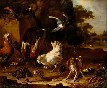 Melchior de Hondecoeter (Utrecht 1636-Amsterdam 1695) - Birds and a Spaniel in a Garden - RCIN 405354 - Royal Collection. Free illustration for personal and commercial use.