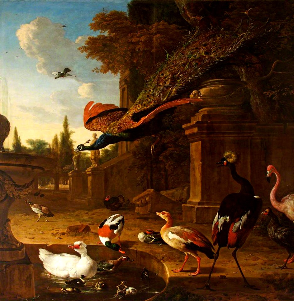 Melchior de Hondecoeter (1636-1695) - Ornamental Fowl in and beside a Pond in a Park, with a Peacock in Flight - 453772 - National Trust
