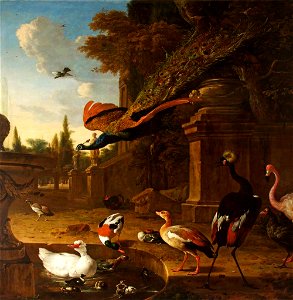 Melchior de Hondecoeter (1636-1695) - Ornamental Fowl in and beside a Pond in a Park, with a Peacock in Flight - 453772 - National Trust. Free illustration for personal and commercial use.
