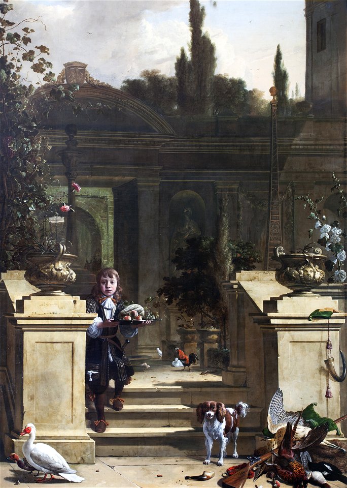 M d'Hondecoeter Belton