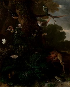 Melchior d’Hondecoeter - Animals and Plants of the Forest - ILE2005.1.1 - Yale University Art Gallery