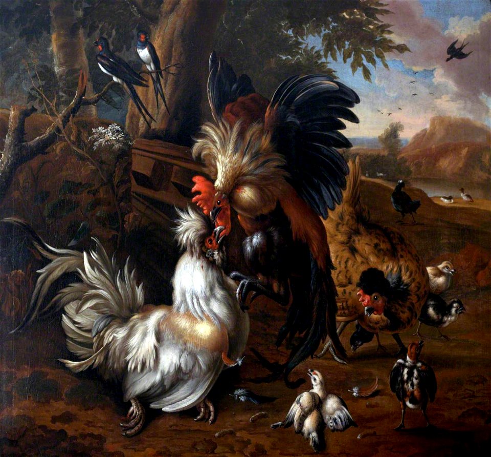 Melchior de Hondecoeter (1636-1695) (style of) - A Cock Fight - 353103 - National Trust
