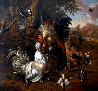 Melchior de Hondecoeter (1636-1695) (style of) - A Cock Fight - 353103 - National Trust. Free illustration for personal and commercial use.