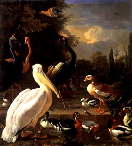 Melchior d'Hondecoeter - The Floating Feather - WGA11641. Free illustration for personal and commercial use.