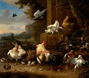 Melchior d'Hondecoeter - The poultry yard Fd000394
