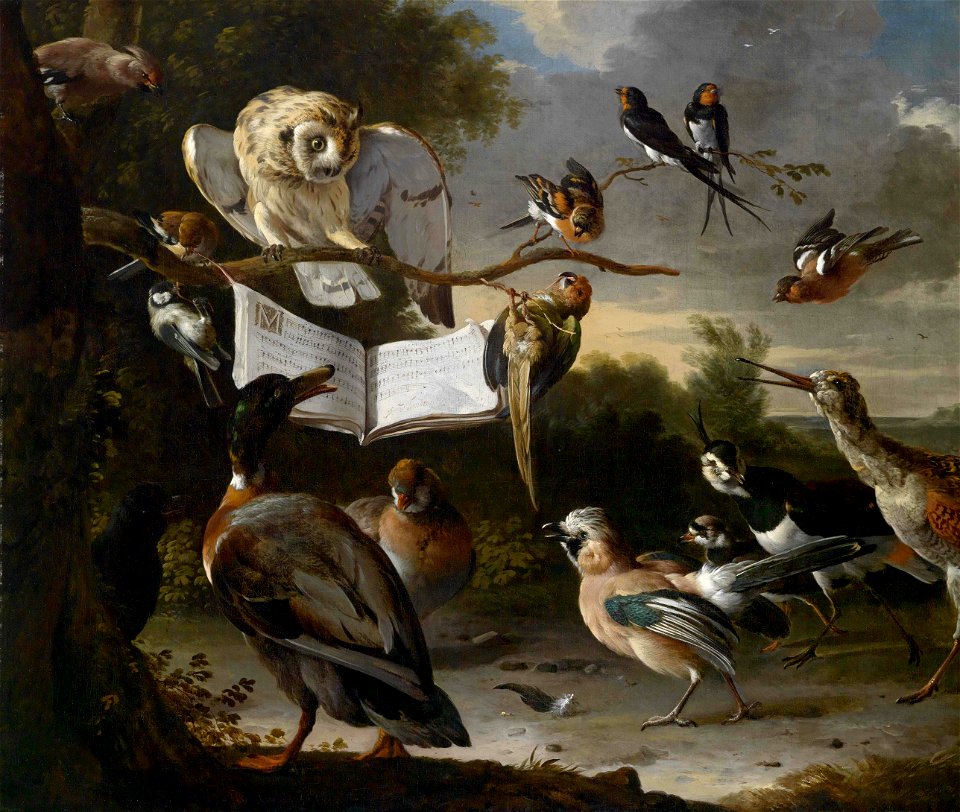 Melchior de Hondecoeter - Das Vogelkonzert. Free illustration for personal and commercial use.