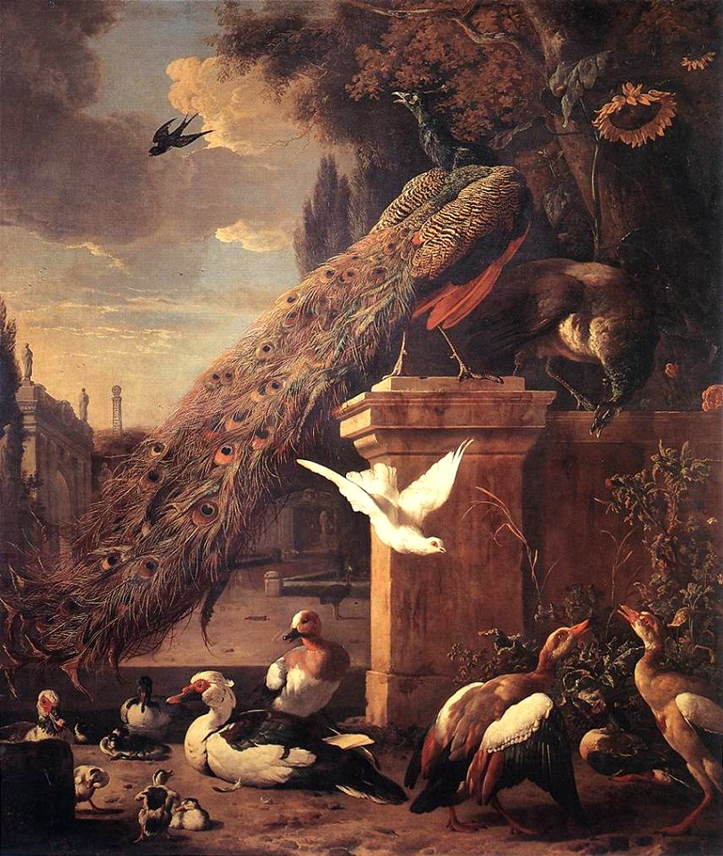 Melchior d'Hondecoeter - Peacocks and Ducks - WGA11643