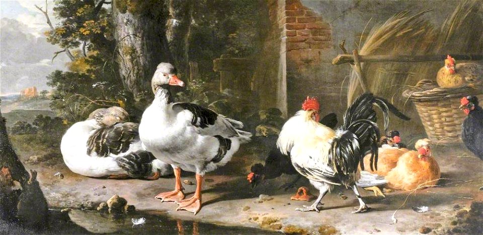 Melchior de Hondecoeter (1636-1695) - Fowl and Geese - 1421751 - National Trust. Free illustration for personal and commercial use.
