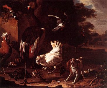 Melchior d'Hondecoeter - Birds and a Spaniel in a Garden - WGA11638
