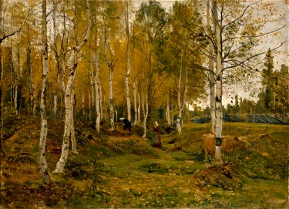Gerhard Munthe - Birch Trees in Autumn - NG.M.00831 - National Museum of Art, Architecture and Design. Free illustration for personal and commercial use.
