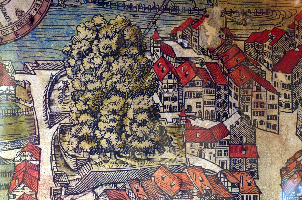 Murerplan koloriert (Haus zum Rech) - Lindenhof 2013-04-08 15-38-07