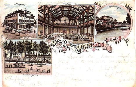 Museum Tübingen (AK F Schuler 1898 TPk183)