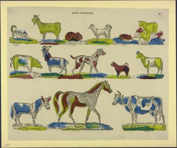 Museum van Huisdieren-Catchpenny print-Borms 0818