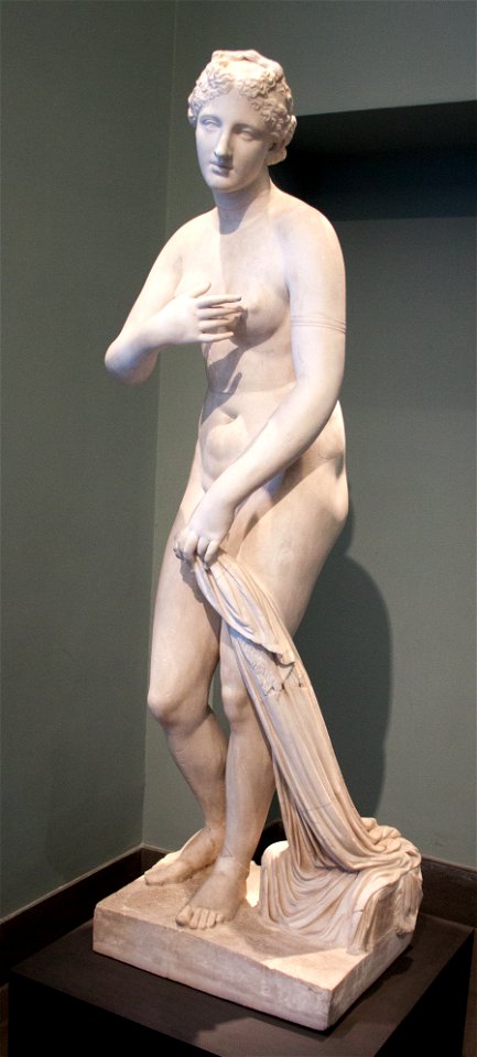 Musa Melpomene 2014-11-9