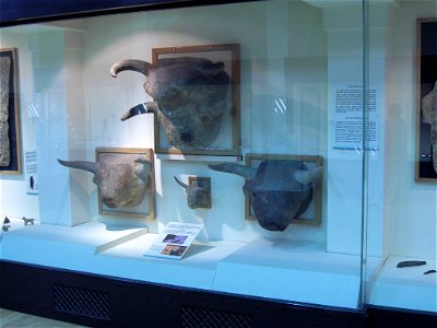 Museum of Anatolian Civilizations007