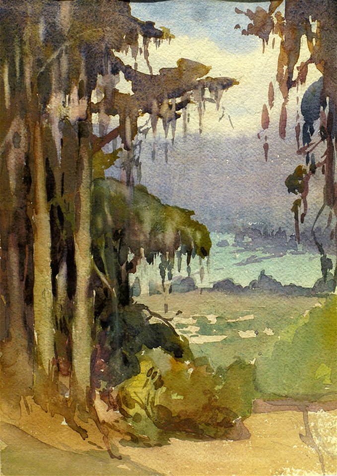 Forest Visit by Nelly Littlehale Murphy