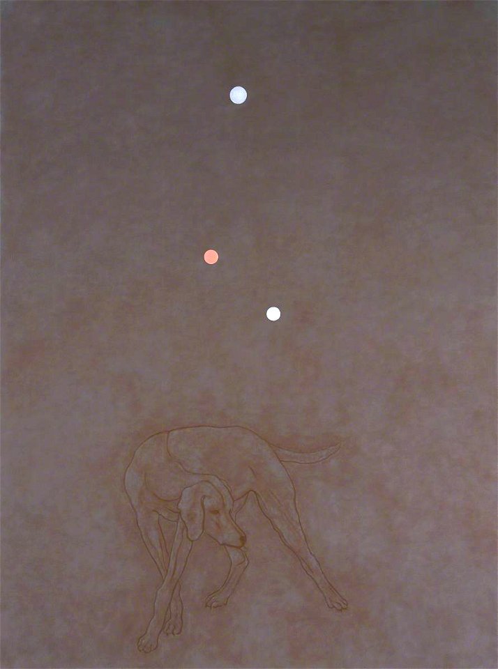 John Murphy (b.1945) - Investigations of a Dog (Pictor) - T07323 - Tate
