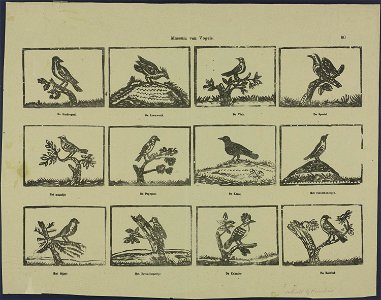 Museum van vogels-Catchpenny print-Borms 0814