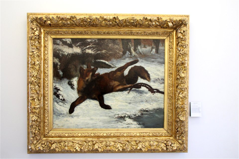 Musée Courbet Le renard pris au piège 1860 