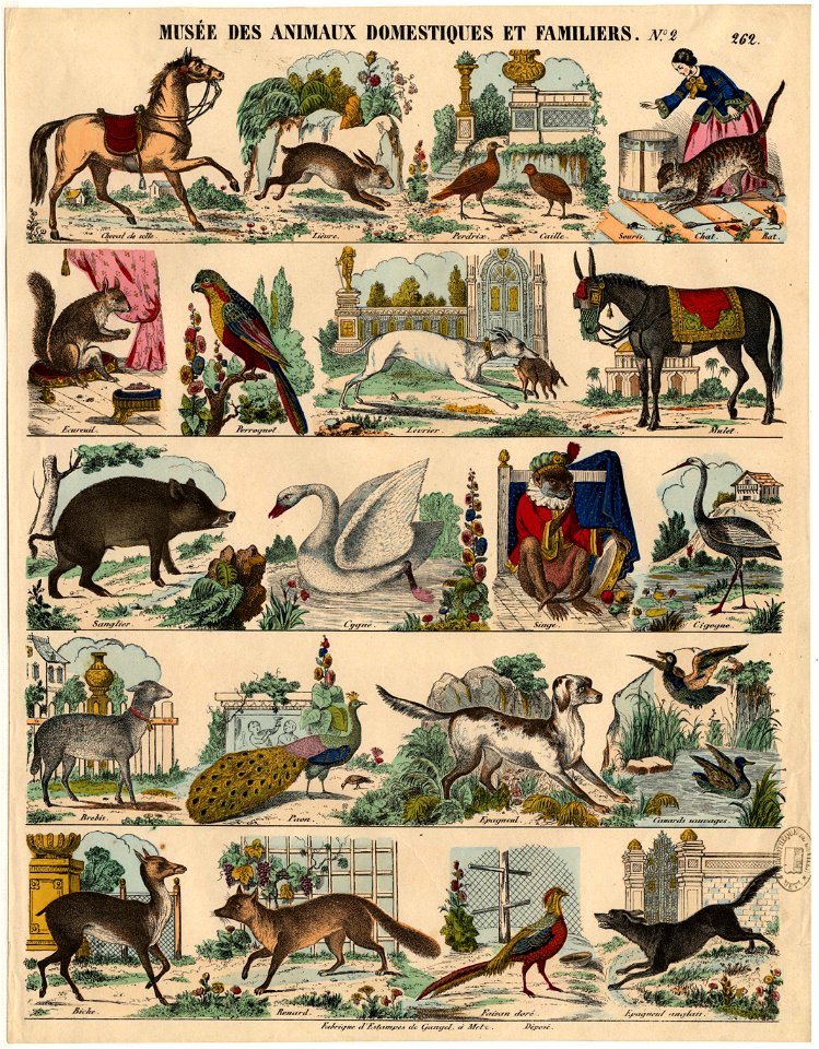 Musée des animaux domestiques et familiers FIE IPO 025
