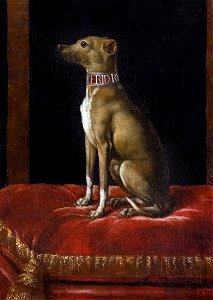 Musée Ingres-Bourdelle - Un chien de grand seigneur - Jean Ranc, MI.867.178