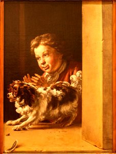 Musée Calvet Jan-Weenix