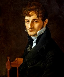 Musée Ingres-Bourdelle - Portrait de Belvèze-Foulon - Ingres - Joconde06070001434
