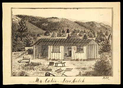 My cabin, Long Gulch LCCN2004661646