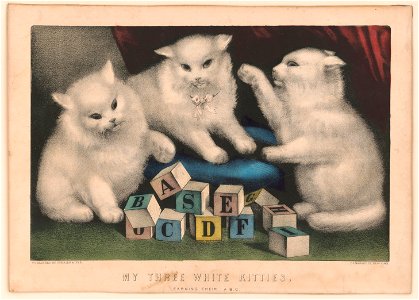 My three white kitties- learning their a.b.c. LCCN2002710636