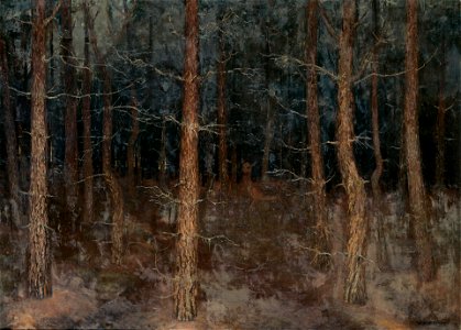 Mystieke paden